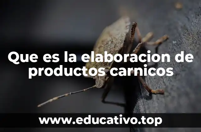 Que es la elaboracion de productos carnicos