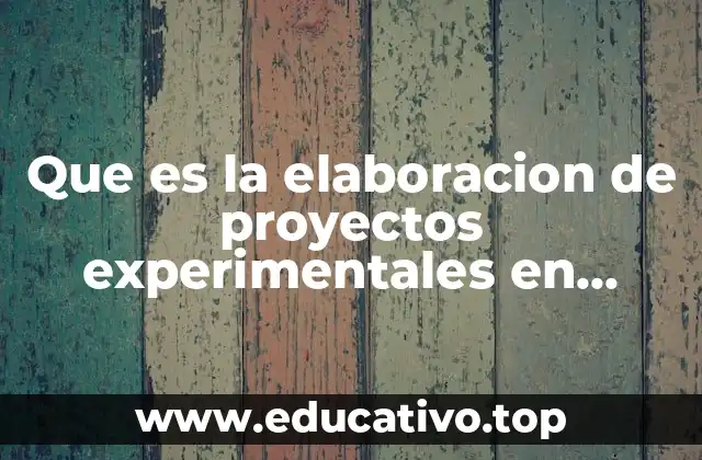 Que es la elaboracion de proyectos experimentales en educacion