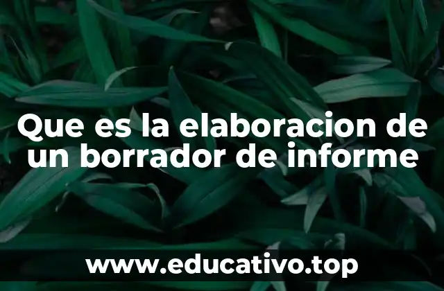 Que es la elaboracion de un borrador de informe