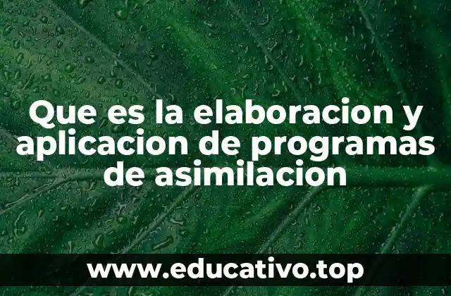 Que es la elaboracion y aplicacion de programas de asimilacion