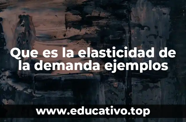 Que es la elasticidad de la demanda ejemplos