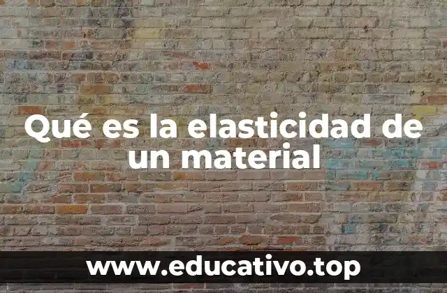 Qué es la elasticidad de un material