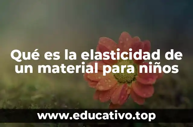 Qué es la elasticidad de un material para niños