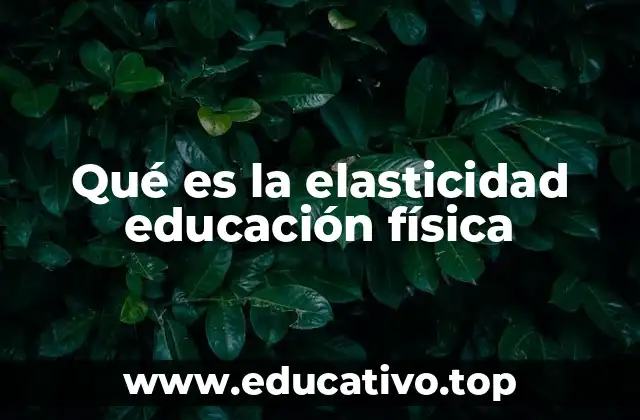 Qué es la elasticidad educación física