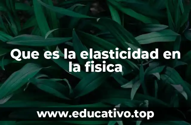 Que es la elasticidad en la fisica