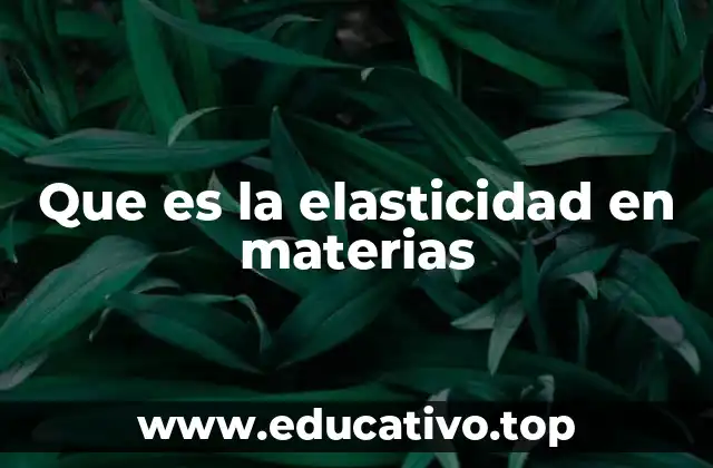 Que es la elasticidad en materias