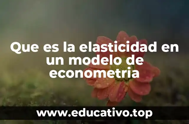 Que es la elasticidad en un modelo de econometria