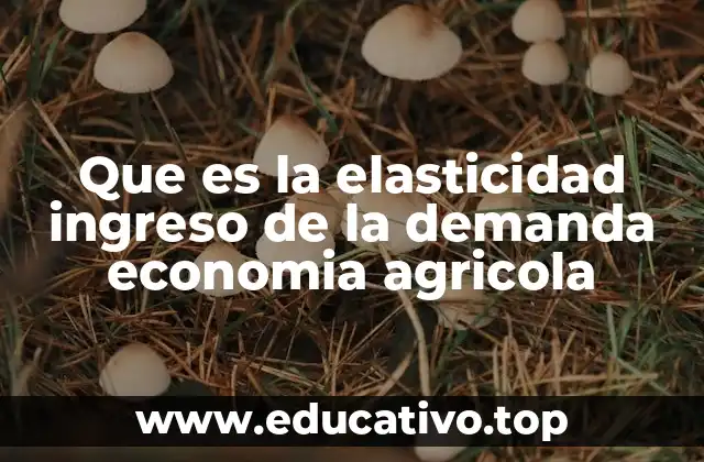 Que es la elasticidad ingreso de la demanda economia agricola