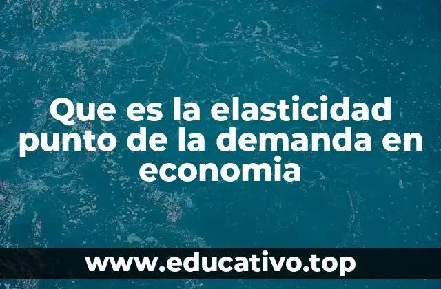 Que es la elasticidad punto de la demanda en economia