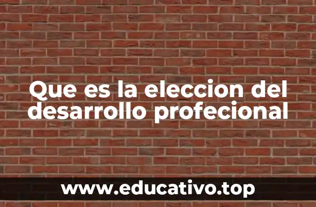 Que es la eleccion del desarrollo profecional