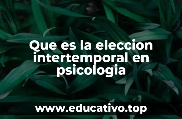 Que es la eleccion intertemporal en psicologia