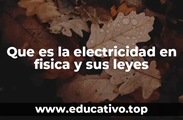 Que es la electricidad en fisica y sus leyes