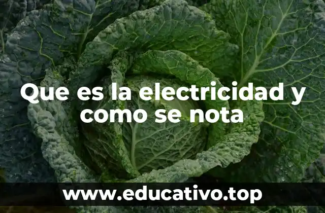 Que es la electricidad y como se nota