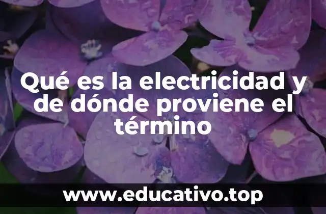 Qué es la electricidad y de dónde proviene el término