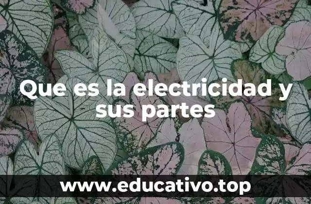 Que es la electricidad y sus partes