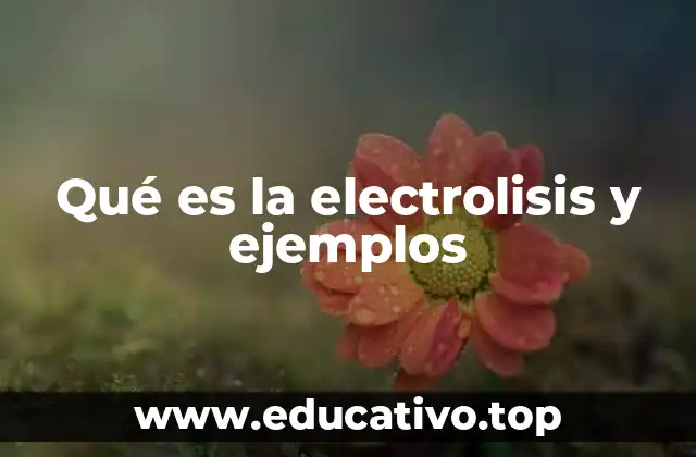 Qué es la electrolisis y ejemplos