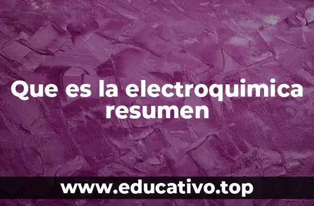 Que es la electroquimica resumen