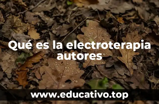 Qué es la electroterapia autores