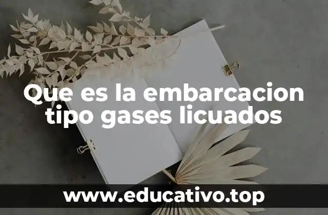 Que es la embarcacion tipo gases licuados