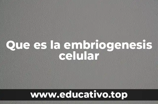 Que es la embriogenesis celular