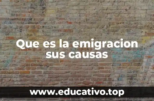 Que es la emigracion sus causas