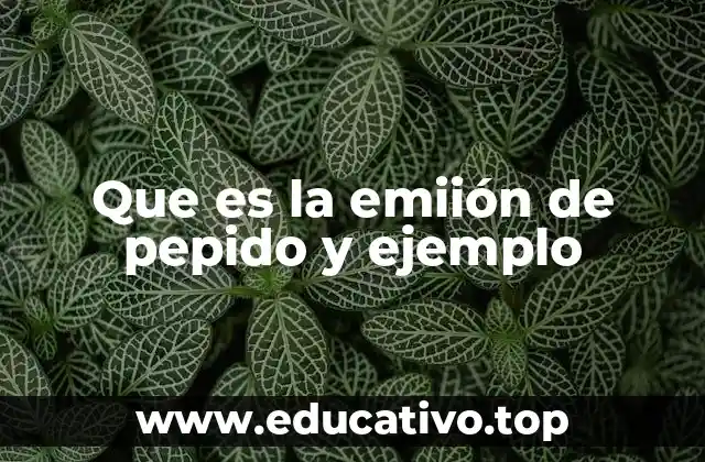 Que es la emiión de pepido y ejemplo