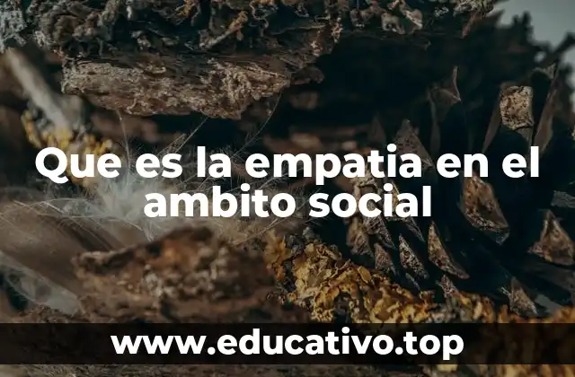 Que es la empatia en el ambito social