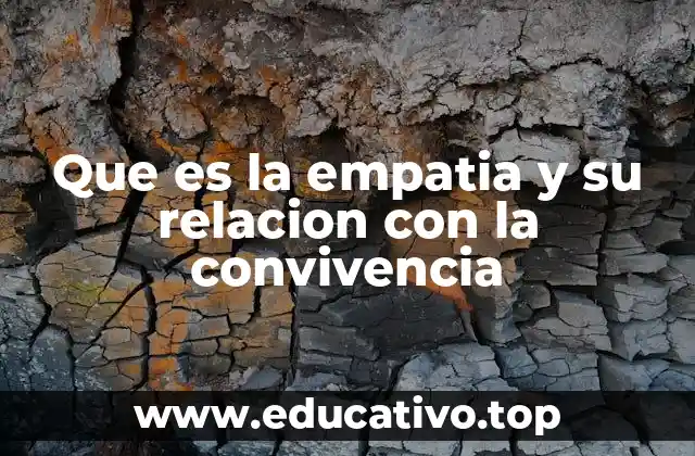 La importancia de la conexión emocional en el entorno social