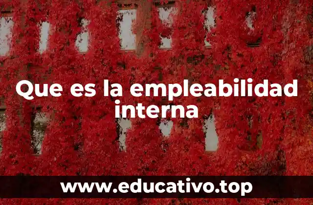 La importancia de la empleabilidad interna en el desarrollo organizacional