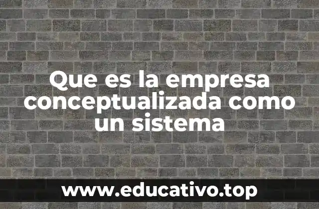 Que es la empresa conceptualizada como un sistema