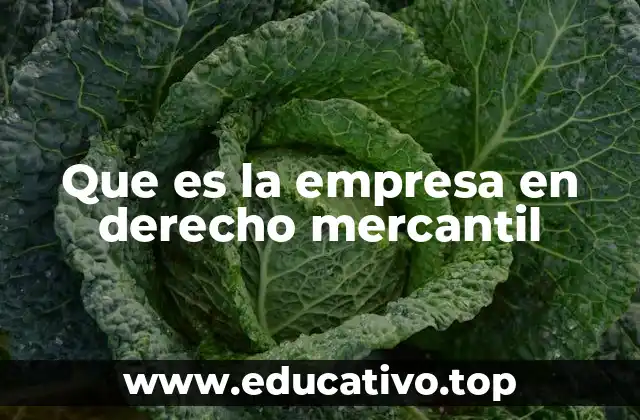 Que es la empresa en derecho mercantil