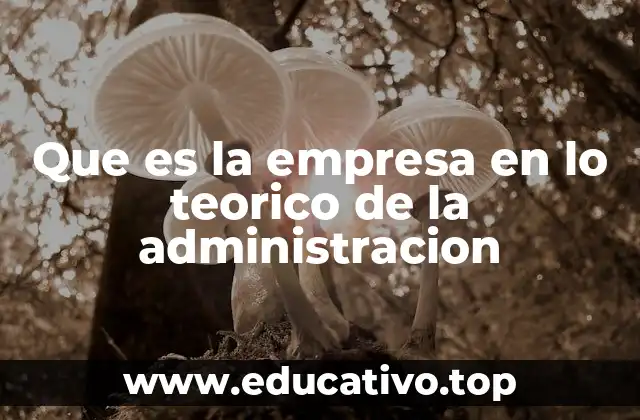 Que es la empresa en lo teorico de la administracion