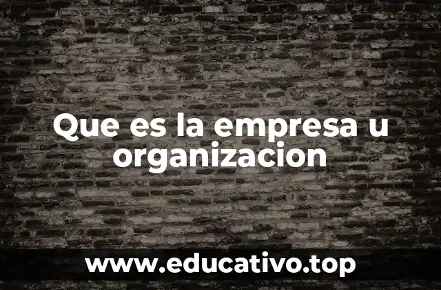 Que es la empresa u organizacion