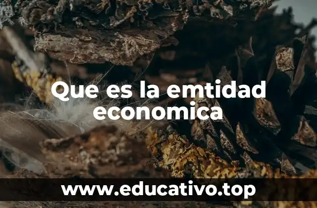 Que es la emtidad economica