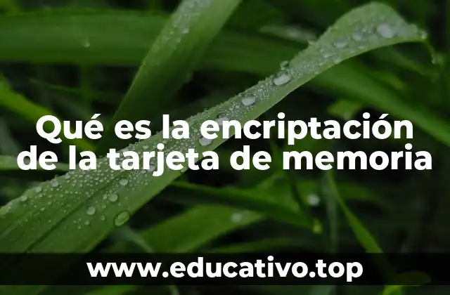Qué es la encriptación de la tarjeta de memoria