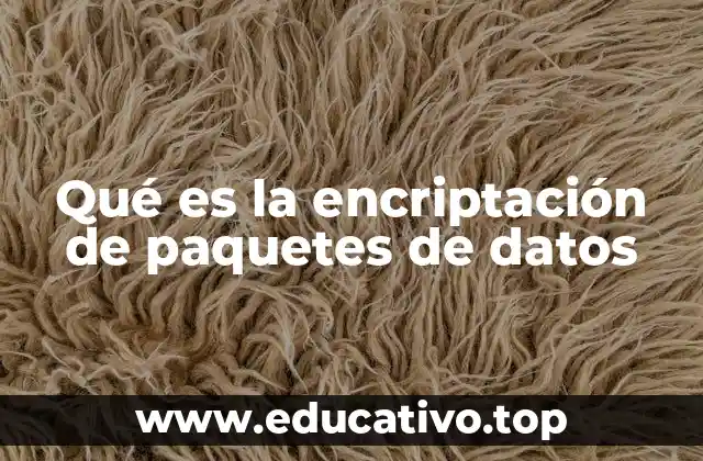 Qué es la encriptación de paquetes de datos