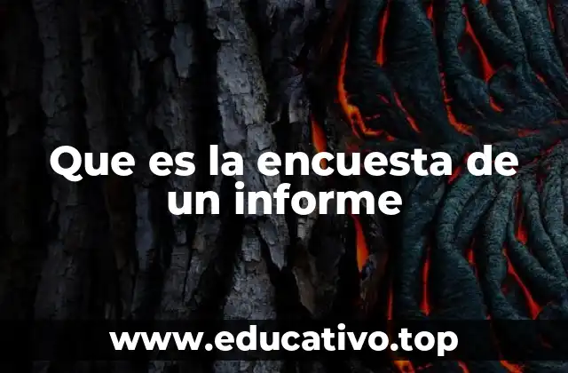 Que es la encuesta de un informe