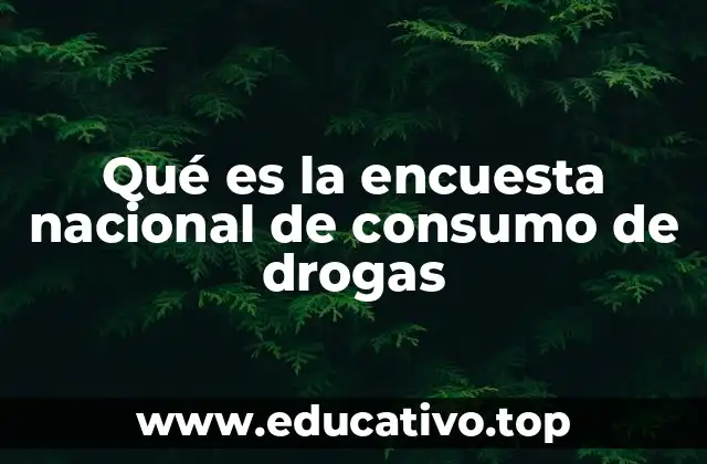 Qué es la encuesta nacional de consumo de drogas