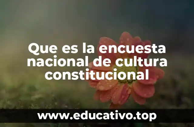 Que es la encuesta nacional de cultura constitucional