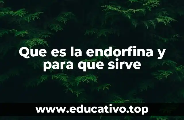 Cómo el cuerpo produce endorfina y cuándo se libera