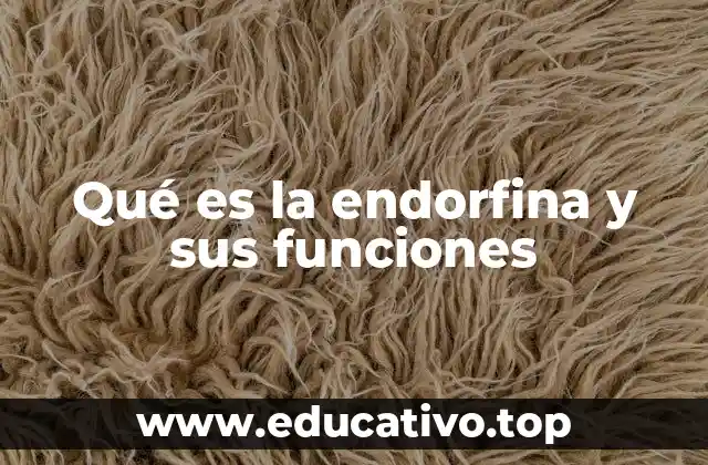 Qué es la endorfina y sus funciones