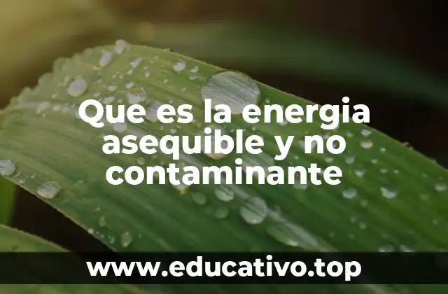 La importancia de una transición energética sostenible