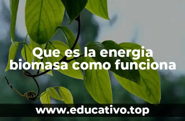 Que es la energia biomasa como funciona