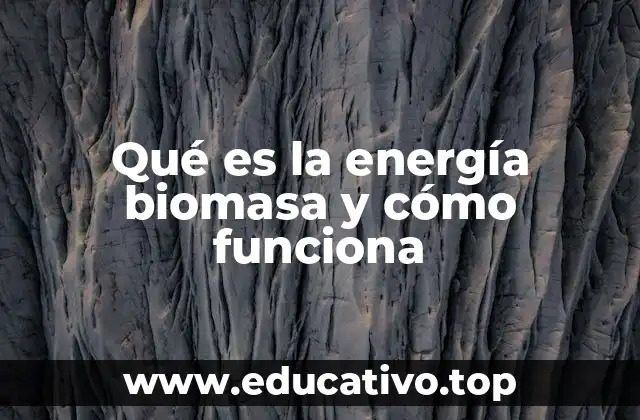 Qué es la energía biomasa y cómo funciona