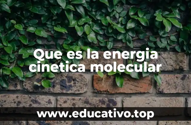 Que es la energia cinetica molecular
