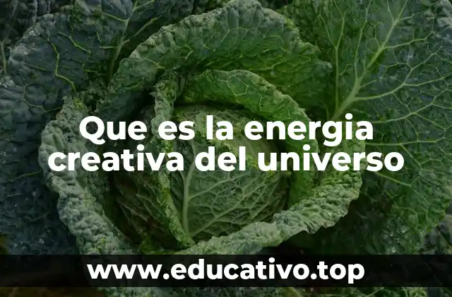 Que es la energia creativa del universo