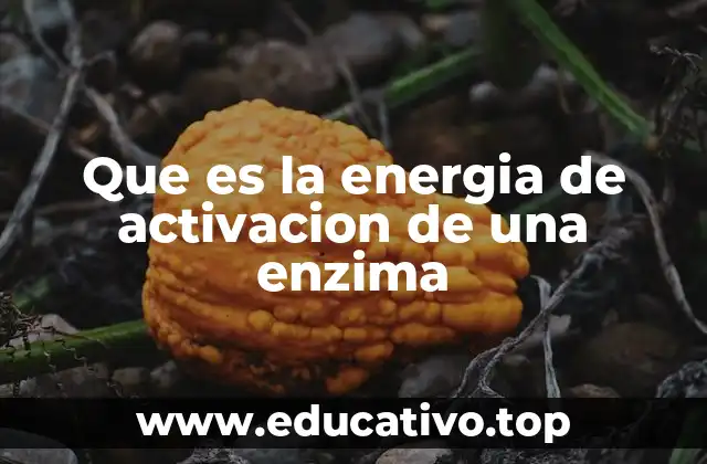 Que es la energia de activacion de una enzima