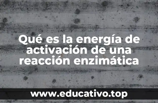 Qué es la energía de activación de una reacción enzimática