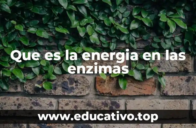 Que es la energia en las enzimas