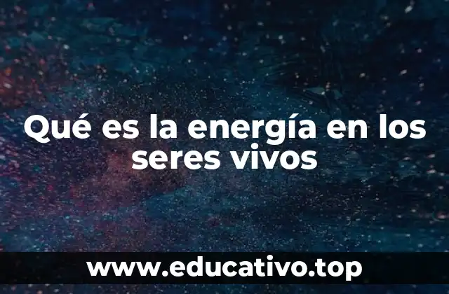 Qué es la energía en los seres vivos